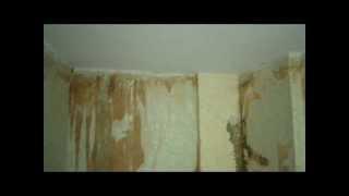 How not professional man done ideally ceiling, dust 2 big bags of Plaster