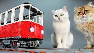 Building a Cat-Sized Lego Train