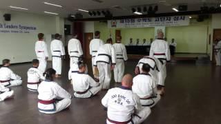2016 World Moo Duk Kwan Youth Leader Demonstration