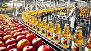 How Millions of Liters of Apple Juice Are Made in Factory | Apple Juice Factory Process