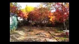 K-ROADTRIP KOREA Hanam city  HLkiM001- farm and fac.  autumn 2013 희앤락 팸앤팍 가을