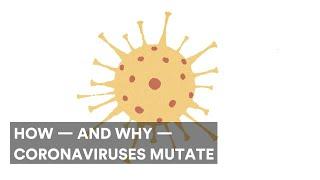 How — and why — coronaviruses mutate