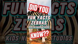  Amazing Zebra Facts  | Kids Network Studios | iSMARTiDEAS | #shorts #didyouknow