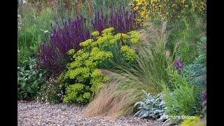 Sue Townsend - Garden Designer - in conversation
