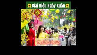 Nhạc Xuân - Mùa Xuân Của Mẹ | Tin học và Cuộc sống  #shorts #nhacxuan #boxmusic