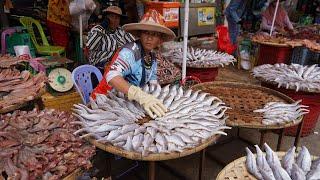 Amazing Sit Selling Dry Fish, Dry Buffalo, Dry Beef, Dry Frog - Dry Food Selling On The Street