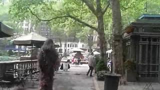 Chewbacca Walking NYC