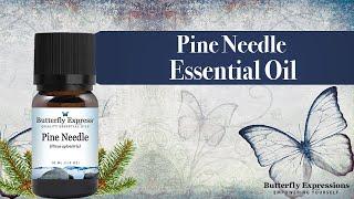 Pine Needle Essential Oil