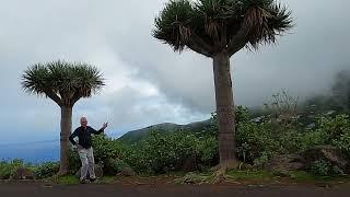 Espagne : La Palma (Canaries)