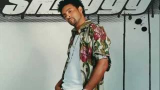 Shaggy - Get My Party On