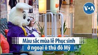 Màu sắc mùa lễ Phục sinh ở ngoại ô thủ đô Mỹ | VOA Tiếng Việt