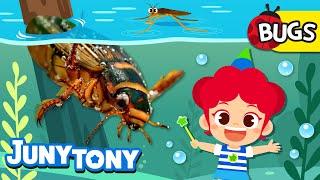 Aquatic Bugs | Cutie-crawly Friends! | Bug Song | Insect Songs for Kids | JunyTony