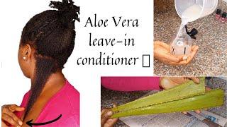 DIY ALOE VERA MOISTURIZING LEAVE-IN SPRAY FOR MAXIMUM HYDRATION | EXTREME HAIR GROWTH #aloevera #4c