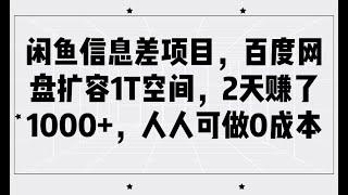 【完整项目】闲鱼信息差项目，百度网盘扩容1T空间，2天赚了1000+，人人可做0成本 | 老高项目网