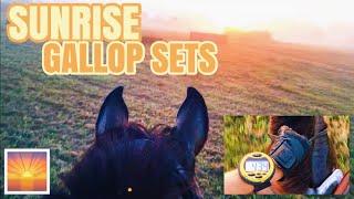 GALLOP SETS & HOW I DO THEM // BARN VLOG #11