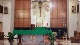 Sunday Mass January 26, 2025