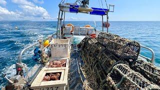 Commercial Fishing - A Day in the Life of a Commercial Crab Fisherman | The Fish Locker