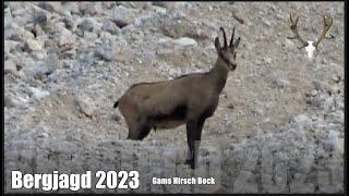 Bergjagd 2023 Gams/ Hirsch/ Bock