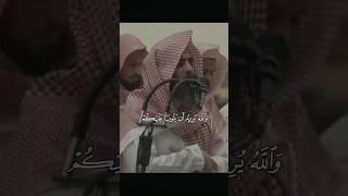 {والله يريد أن يتوب عليكم}سورة النساء الشيخ محمد اللحيدان