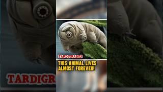 Indestructible Tardigrade: Nature's Ultimate Survivor! #Tardigrade #ScienceFacts