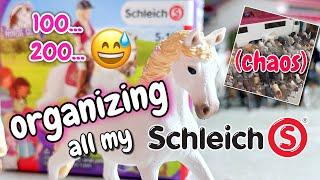 How Many SCHLEICH Do I Have? Organizing My Collection Setup!