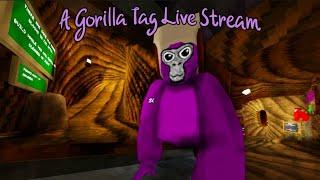 Gorilla Tag minigames and Fangames Live Stream