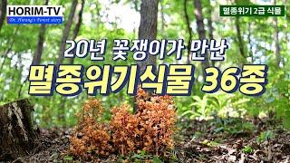 멸종위기식물 36종, 숲 전문 HORIM-TV