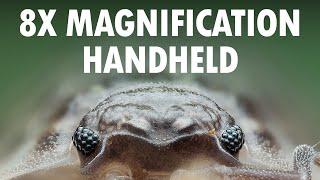 Handheld Macro Photography At 8x Magnification