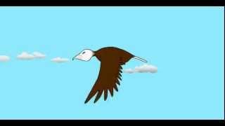 Flying Bird Animation by Latoz Animation