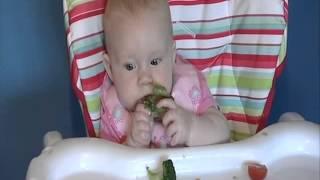 Ready, Steady... Eat! A parent's guide to starting babies on solid food