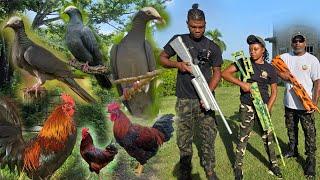 Bird Season 2024 In Jamaica, Double Action Bird And Rooster Hunting.