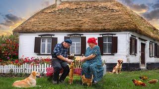 We lived our whole lives in this village house - Happy old age of an elderly couple