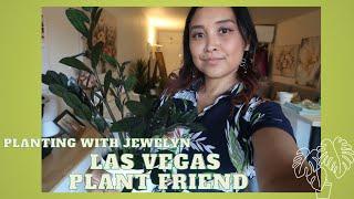 Planting with Jewelyn: Las Vegas Plant friend, my summer 2024 update