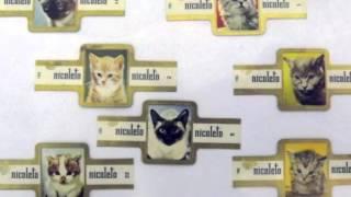 THE CATS MUSEUM OF KOTOR / CATTARO (MONTENEGRO)