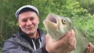 Красивая Меча
