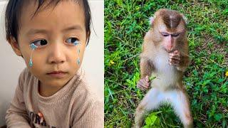 Diem is sad because she hasn't seen Monkey Kaka for a long time