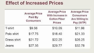 Rising Prices: Will Consumers Pay?