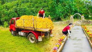 Use Trucks To Transport Corn - Rebuild The Concrete Road From The Gate To The Stone House- Farm Girl