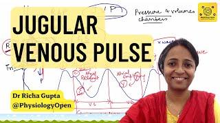 Jugular venous pressure waveform, JVP physiology, measurement | CVS Physiology mbbs 1st year