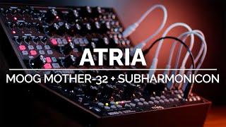 Atria | Generative Ambient Moog Mother-32 + Subharmonicon