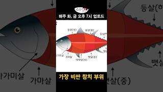 50초만에 알아보는 참치 부위 정리