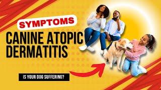 Canine Atopic Dermatitis Symptoms: Spotting the Signs Early