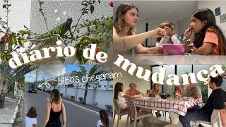 DIÁRIO DE MUDANÇA:BORBOFAMILY | EPISÓDIO 5 | Tutorial de como passar café, girls night, a chegada.