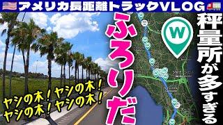 【家族の再会】大好きなフロリダ！ヤシの木が多すぎ！ウェイステーションも多すぎ！2か月ぶりのホームタイム | アメリカ長距離トラックVLOG