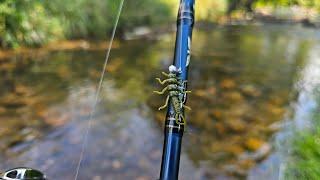 Trout Fishing with Jigs: Giant Fish on Every Cast!