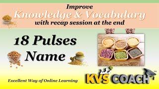 Learn about 18 pulses names to Improve Knowledge & Vocabulary of Kids