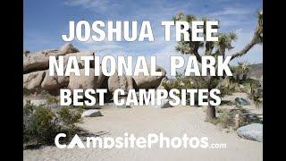 Joshua Tree National Park Best Campsites