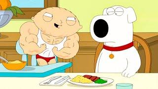 [NoZoom] Family Guy Season 7 Episode 13 || Family Guy Full Episodes NoCuts NoZoom #1080p