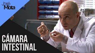 Cámara intestinal | José Mota