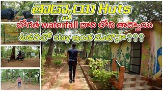 Tadvai Huts | తాడ్వాయి అడవిలో ఇంత మజానా? | Near Bogatha Waterfalls | Telangana Tourism